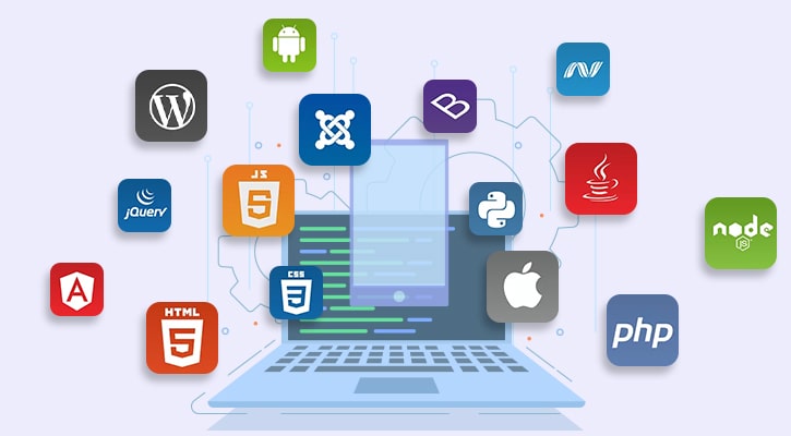 Web Application